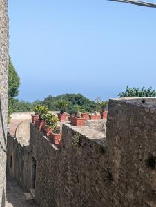 Erice 06