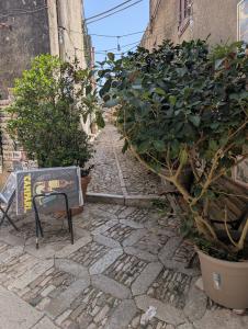 Erice 16