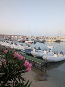 San Vito lo Capo boat ride 22