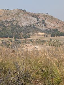 Segesta archeological area 09