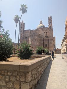 Palermo 24