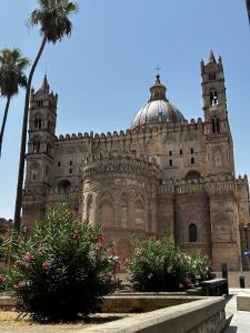Palermo 25