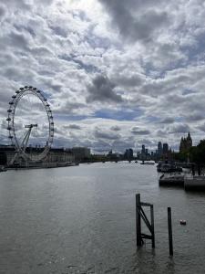 London Eye 005