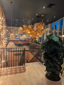 Zizzi Paddington Central 002
