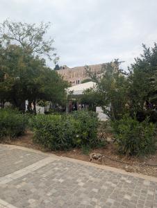 Around Athens 017